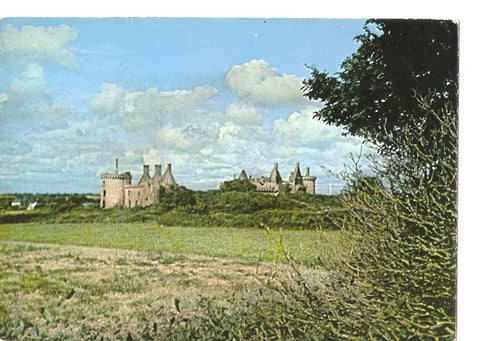 Postal 040029 : Penvins (Morbihan). Château de Suscinio