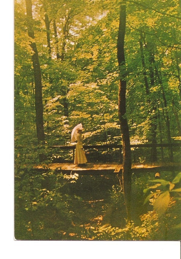 Postal 040039 : Mujer paseando sobre puente en un bosque