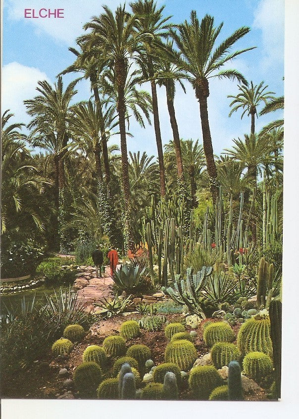 Postal 040061 : Elche. Huerto del Cura. Rocalla