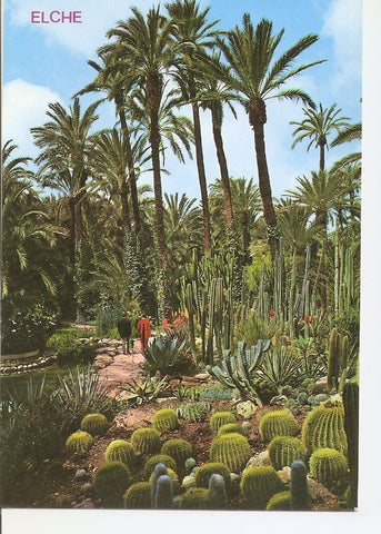 Postal 040061 : Elche. Huerto del Cura. Rocalla