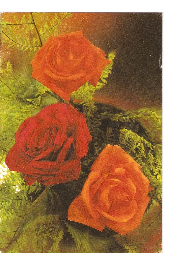 Postal 040168 : Flores