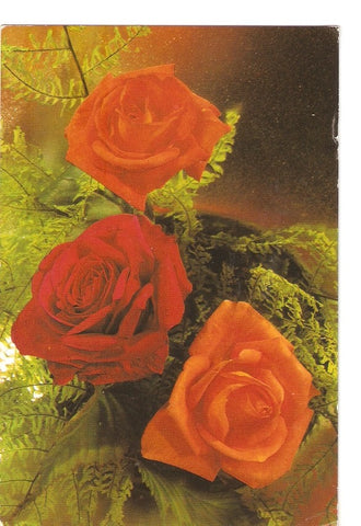 Postal 040168 : Flores