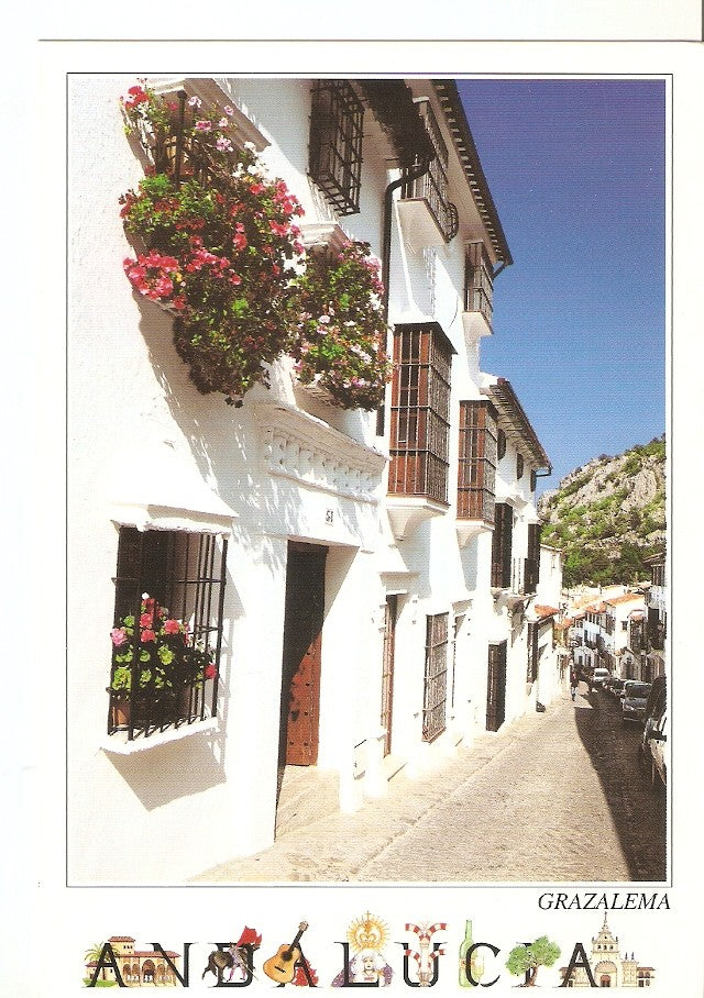 Postal 040206 : Grazalema. Calle tipica. Andalucia