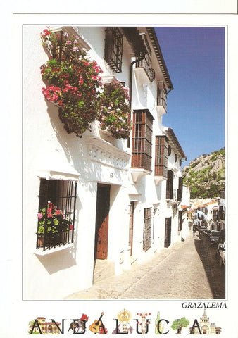 Postal 040206 : Grazalema. Calle tipica. Andalucia