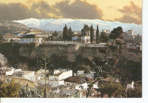 Postal 040213 : Granada. Vista general de la Alhambra y Sierra Nevada