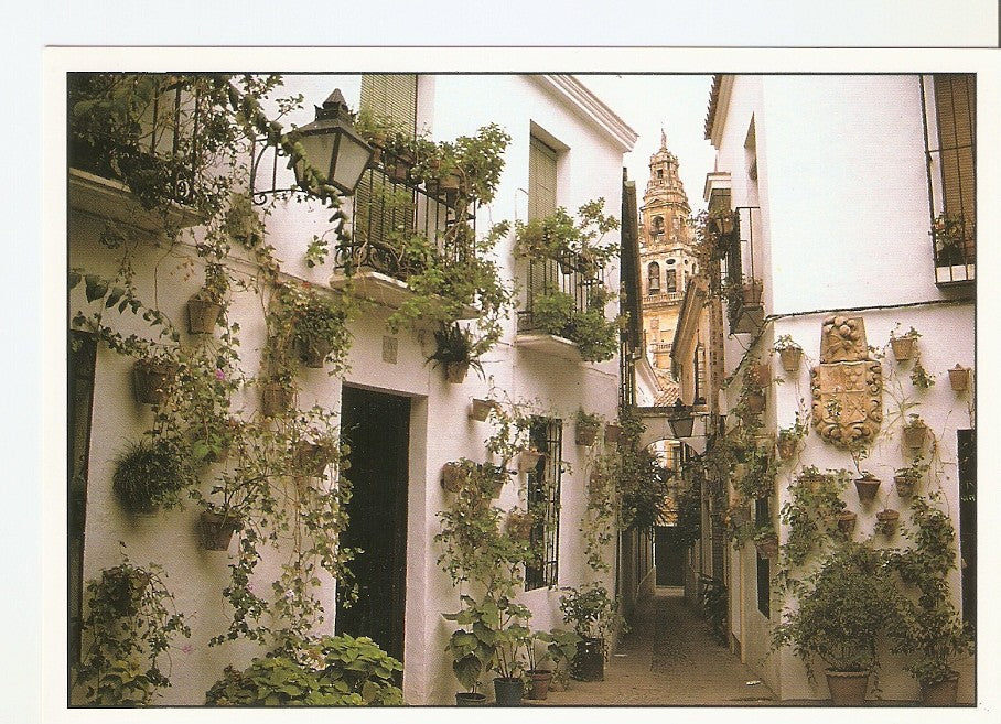 Postal 040240 : Calle de las Flores