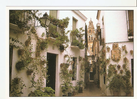 Postal 040240 : Calle de las Flores