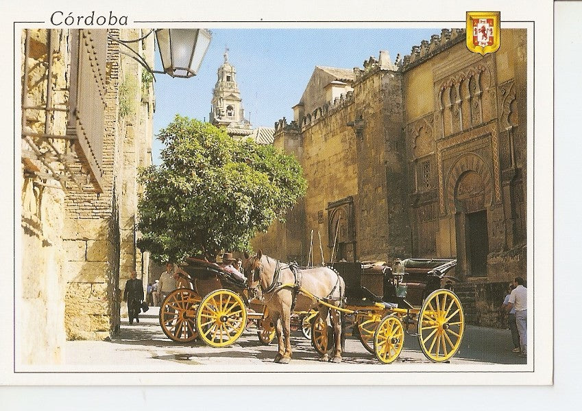 Postal 040253 : Cordoba. Puertas laterales de la Mezquita - Torre al fondo