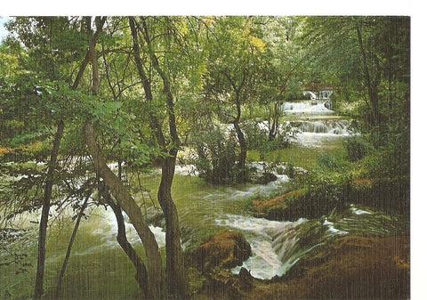 Postal 040261 : Monasterio de Piedra (Zaragoza). Los Vadillos