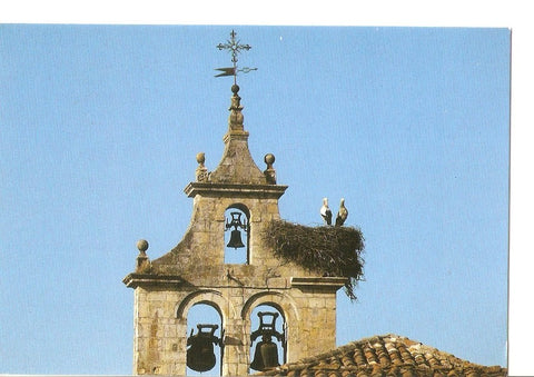 Postal 040338 : Cervera de Pisuerga (Palencia). Naturaleza en los alrededores de Cervera