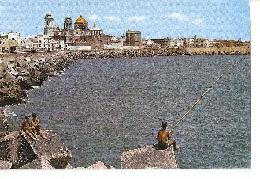 Postal 040395 : Cadiz. Campo del Sur