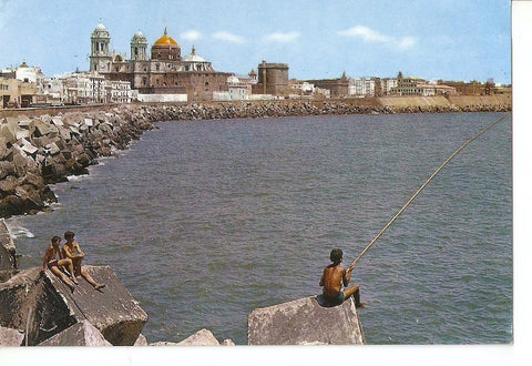 Postal 040395 : Cadiz. Campo del Sur