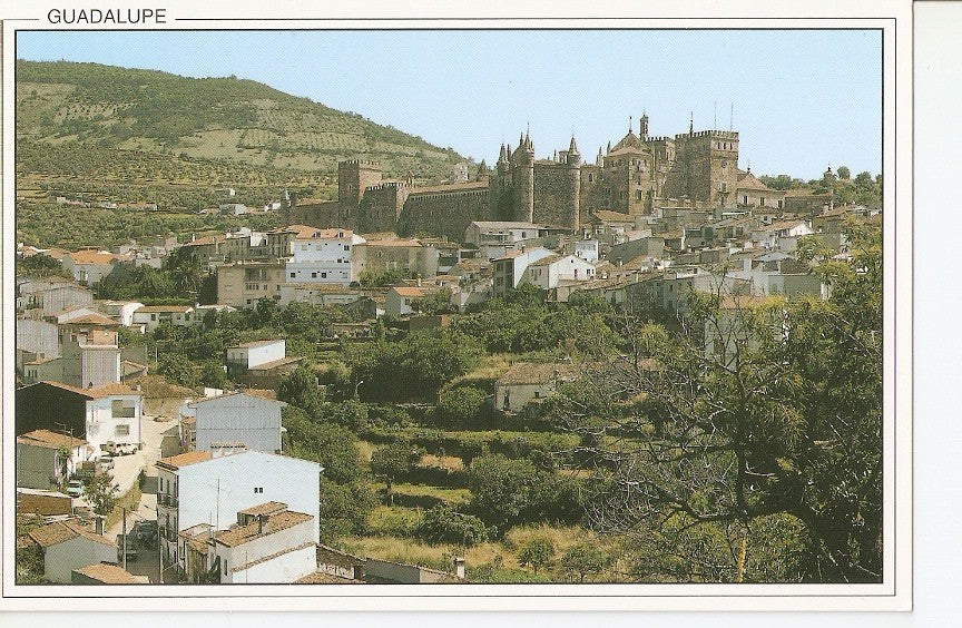 Postal 040448 : Guadalupe. Vista general