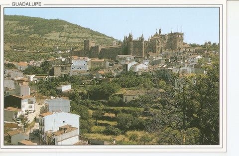 Postal 040448 : Guadalupe. Vista general