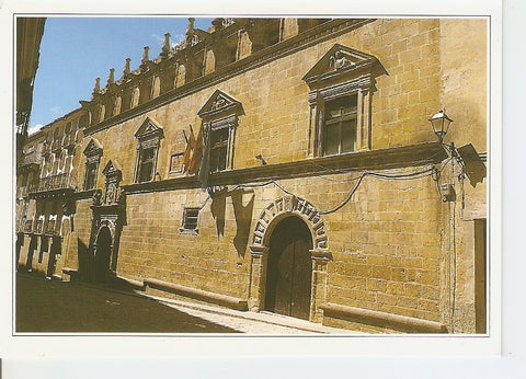Postal 040451 : Uncastillo (Zaragoza). Ayuntamiento