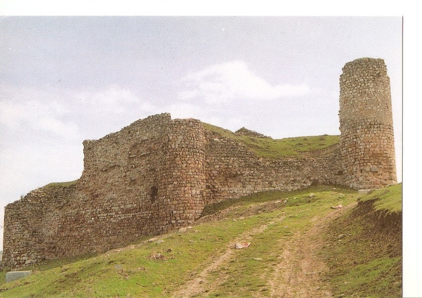 Postal 040473 : Cogolludo. Ruinas del Castillo