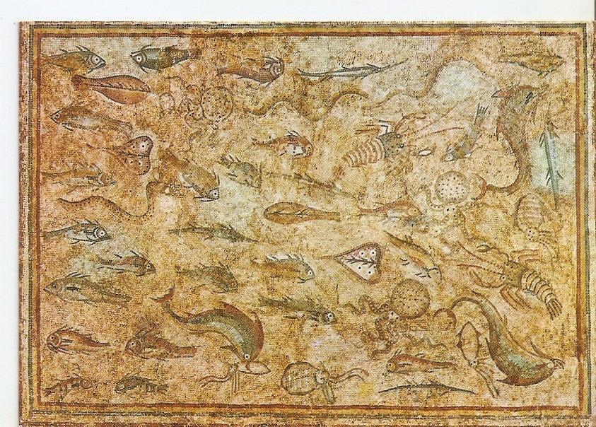 Postal 040524 : Costa Dorada - Tarragona. Museo Arqueologico. Mosaico con Peces