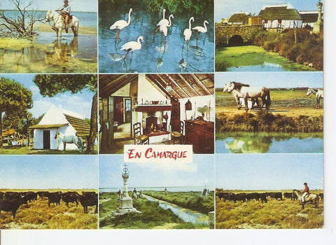 Postal 040590 : En Parcourant la Camargue