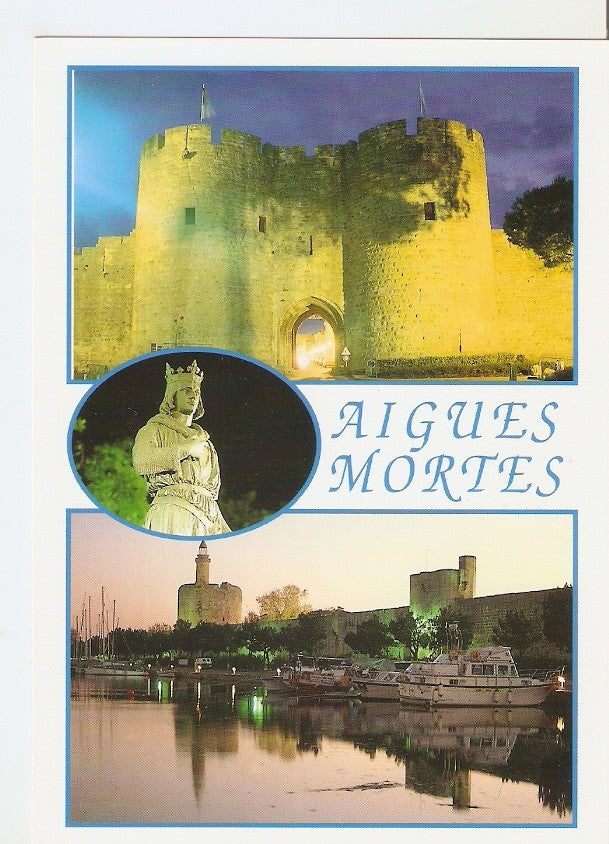 Postal 040623 : Aigues Mortes (Gard)