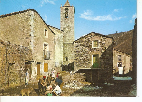 Postal 040666 : Setcases (Girona). Pirineo Catalan. Matanza del Cerdo