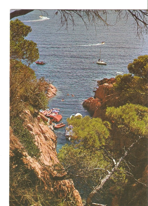 Postal 040684 : Costa Brava. Detalle de la costa