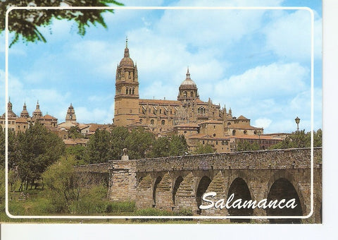 Postal 040717 : Salamanca. Catedral y Puente Romano  