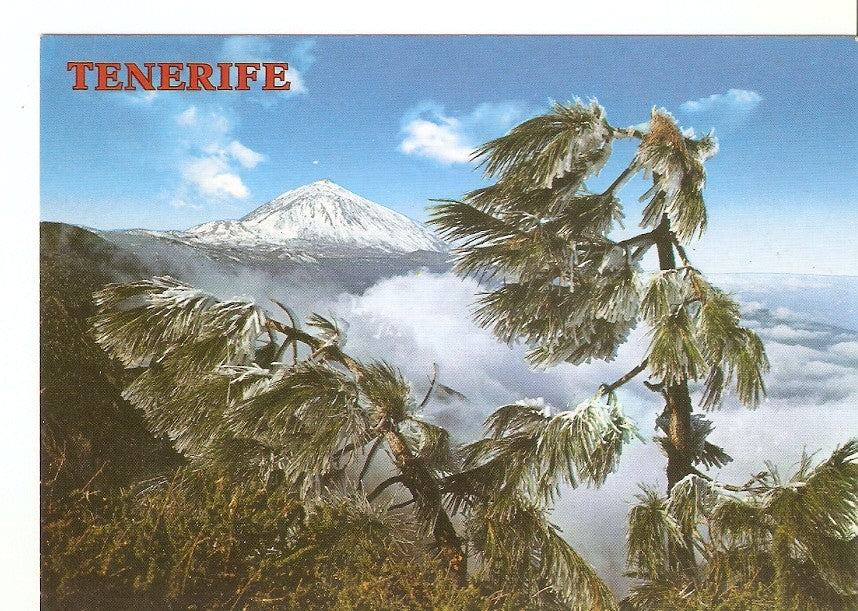 Postal 040750 : Tenerife. El Teide  
