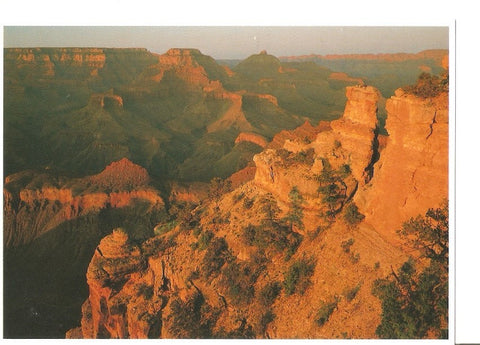 Postal 040788 : Grand Canyon National Park Arizona