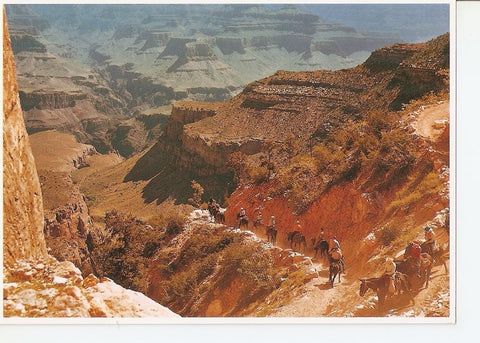 Postal 040789 : Grand Canyon National Park Arizona. Mules rides descending to the canyon floor