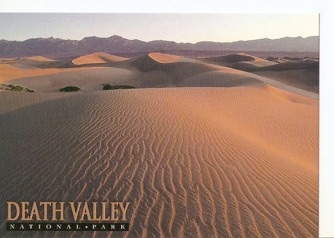 Postal 040794 : Death Valley Sand Sunes