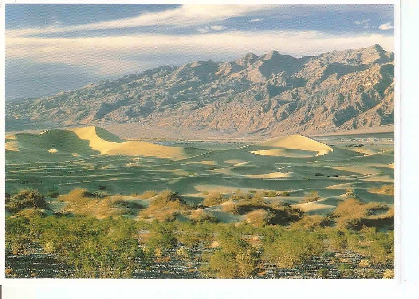 Postal 040796 : Death Valley Natural History Association. The Grapevine Mountains