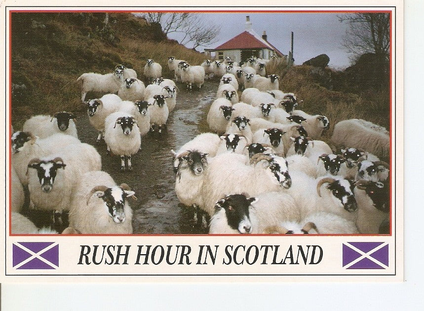Postal 040810 : Rush Hour in Scotland