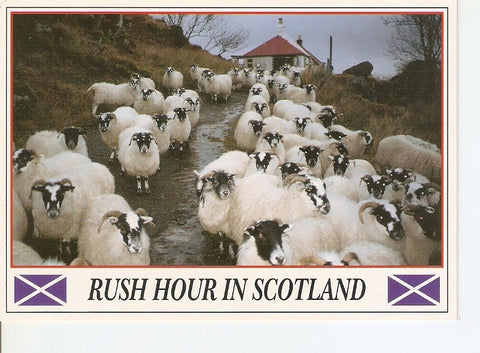 Postal 040810 : Rush Hour in Scotland
