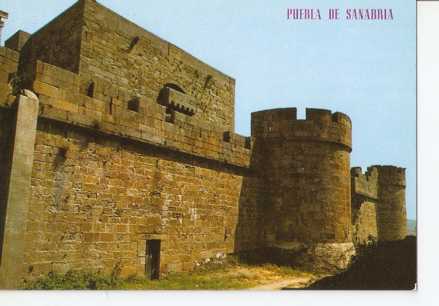 Postal 040815 : Puebla de Sanabria. Castillo