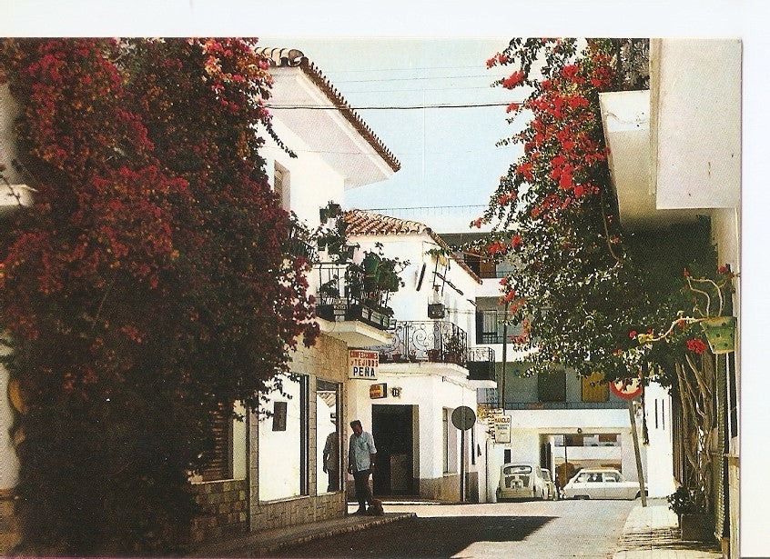 Postal 040826 : San Pedro de Alcantara. Calle tipica