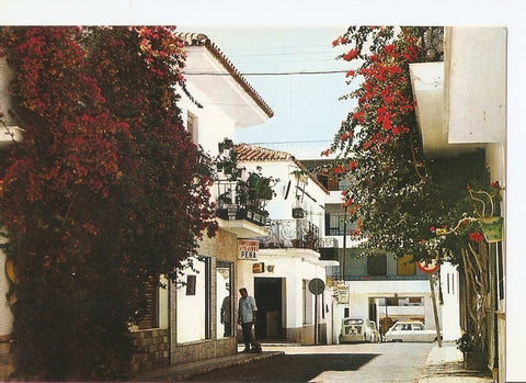 Postal 040826 : San Pedro de Alcantara. Calle tipica