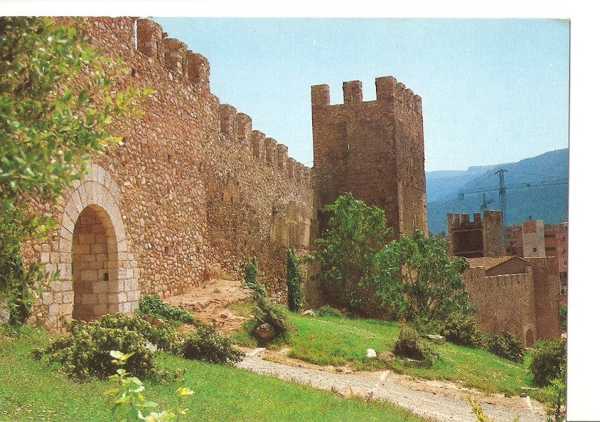 Postal 040841 : Montblanc. Recinto amurallado . Portal del Baluarte (S. XIV)
