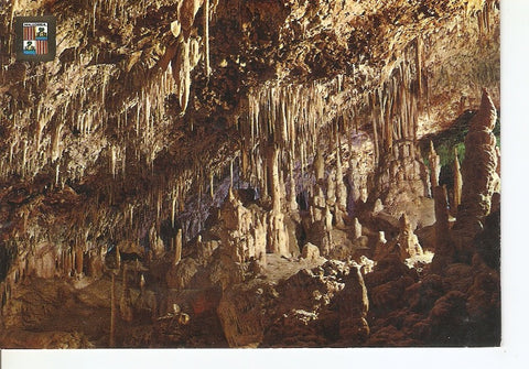Postal 040910 : Mallorca. Porto Cristo (Manacor). Cuevas dels Hams. Salon de Armas