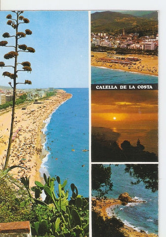 Postal 040974 : Calella de la Costa