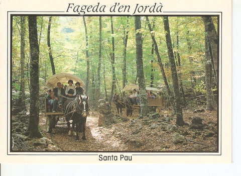 Postal 041023 : Santa Pau (Girona). Zona volcanica de la Garrotxa. Carruaje en el interior de la Fageda (hayal) de Jorda