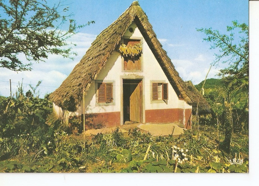 Postal 041025 : Santana (Madeira). Casa tipica