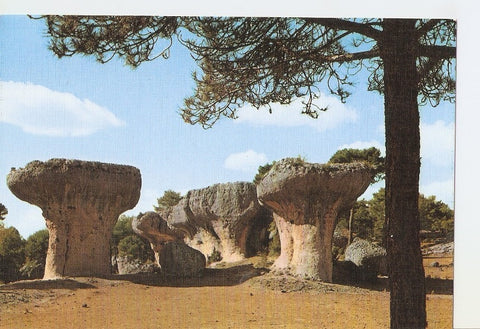 Postal 041080 : Cuenca. Ciudad Encantada. Setas en la Plaza Mayor