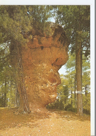 Postal 041082 : Cuenca. Ciudad Encantada. La Cara del Hombre