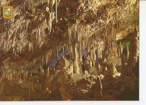 Postal 041084 : Mallorca. Porto Cristo (Manacor). Cuevas dels Hams. Salon de Armas