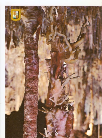 Postal 041086 : Mallorca. Porto Cristo (Manacor). Cuevas dels Hams. Sueño de un Angel detalle