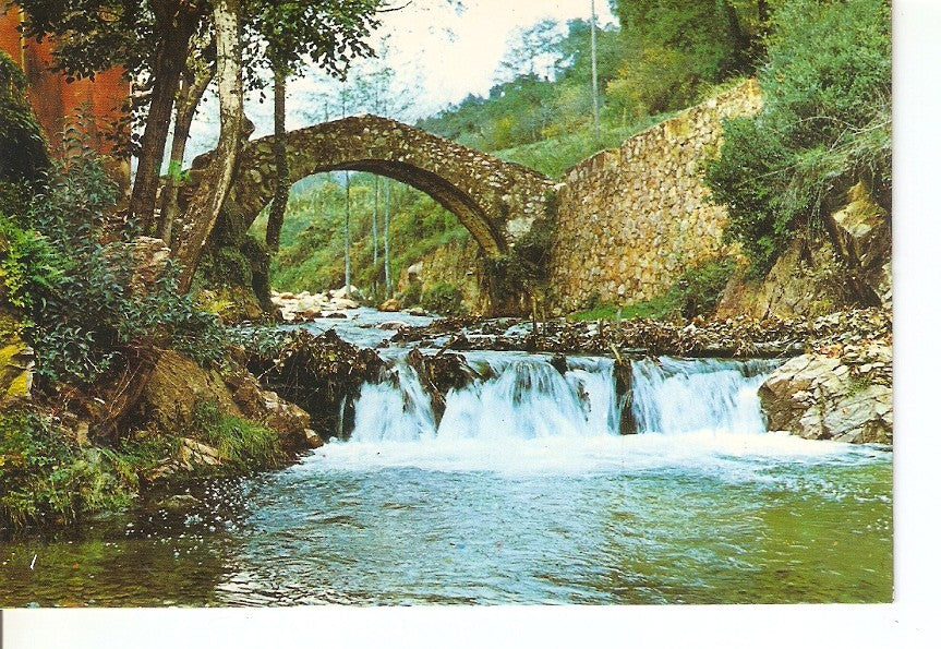 Postal 041143 : Arbucias. Puente del Moli de les Pipes