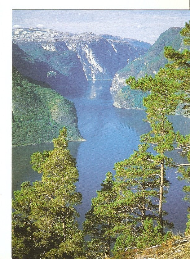 Postal 041200 : Norge: Aurlandsfjord a Famous Part of Sognefjord