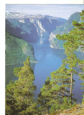 Postal 041200 : Norge: Aurlandsfjord a Famous Part of Sognefjord