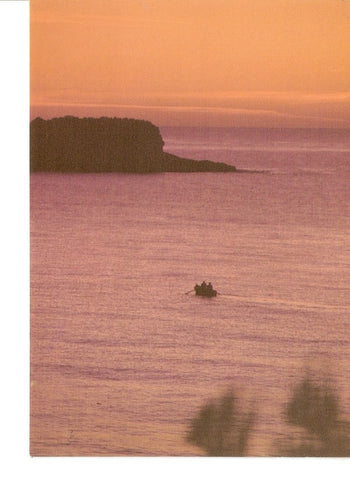 Postal 041231 : Carmelitas Descalzas. Altea (Alicante)