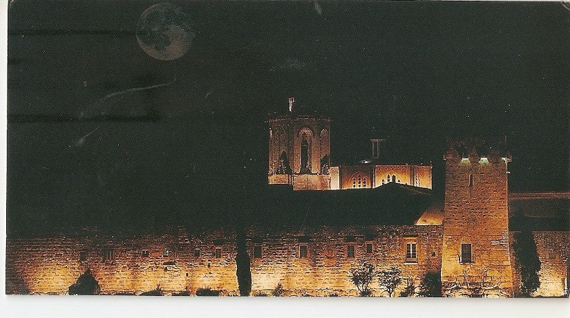 Postal 041240 : Tarragona - Costa Daurada. murallas